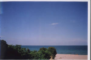 image3.jpg
