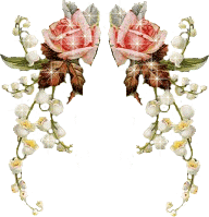 v.jpg